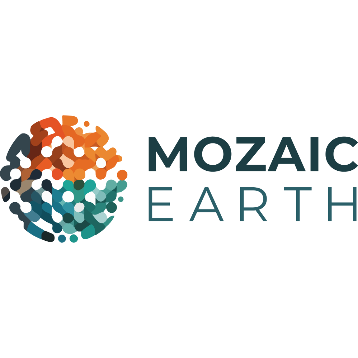 Mozaic Earth