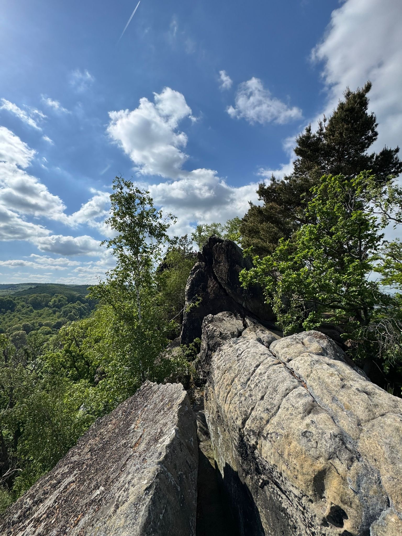 26be281a-9976-41be-8775-d73ba47cb8ad 3