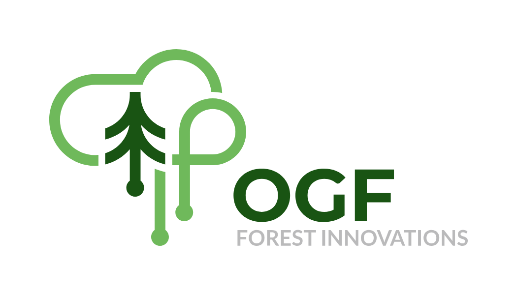 Firmenlogo (Vektor-_Druckdatei)-2-OGF GmbH-13.pdf