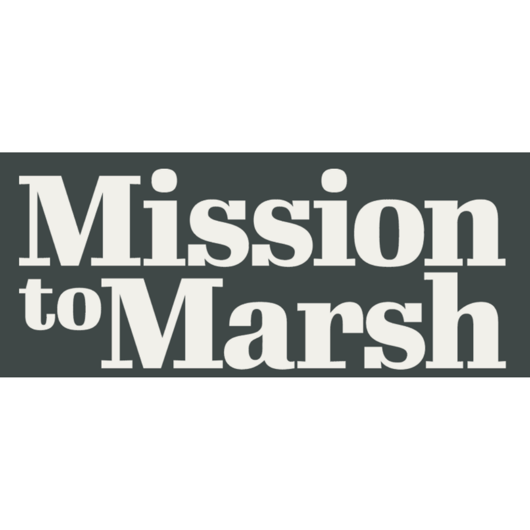 Mission to Marsh