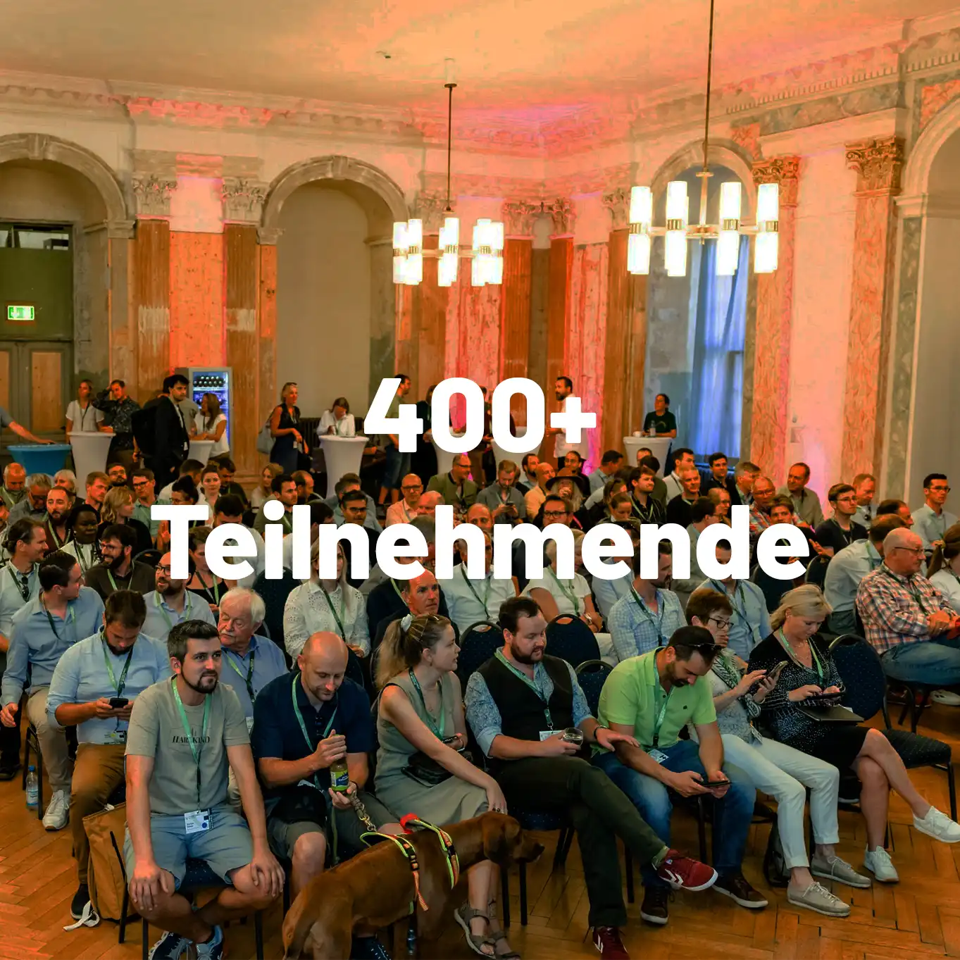 400+ Teilnehmende_k