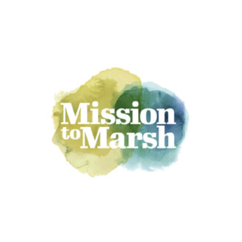 Mission to Marsh