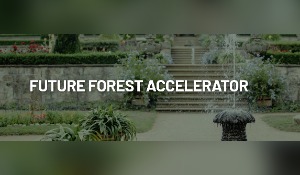 Accelerator