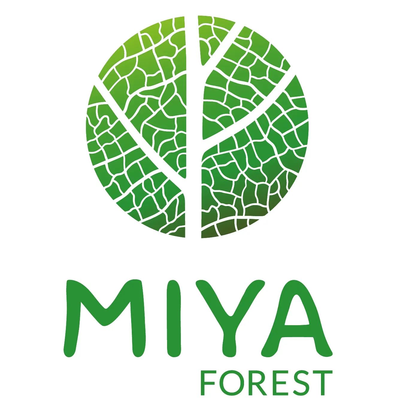 MIYA Logo